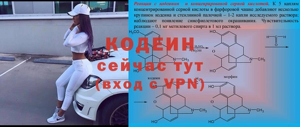 спиды Няндома