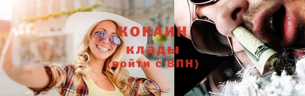 ГАЛЛЮЦИНОГЕННЫЕ ГРИБЫ Арсеньев