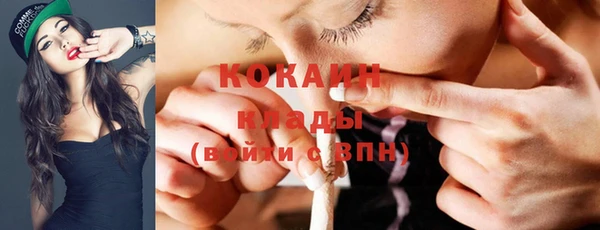 ГАЛЛЮЦИНОГЕННЫЕ ГРИБЫ Арсеньев