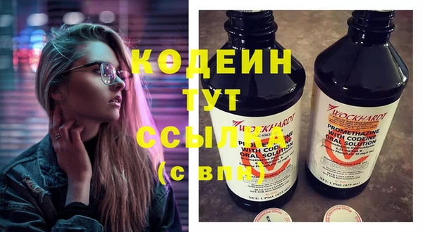 ГАЛЛЮЦИНОГЕННЫЕ ГРИБЫ Арсеньев