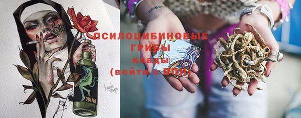 ГАЛЛЮЦИНОГЕННЫЕ ГРИБЫ Арсеньев