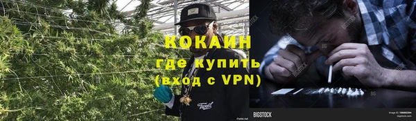 крисы Армянск