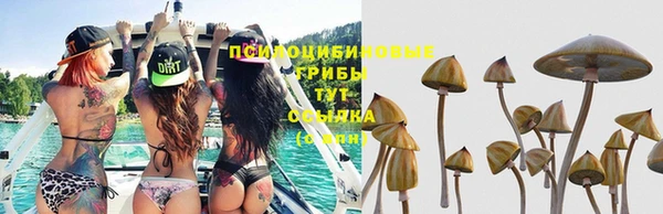 кокаин перу Аркадак